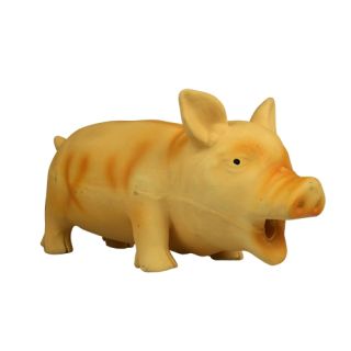 Gris Latex, grymtande läte, 23 cm.