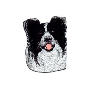 Brodyrmärke Border Collie