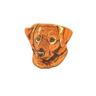 Brodyrmärke Tollare - Nova Scotia Duck Tolling Retriver