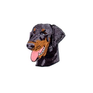 Brodyrmärke Doberman hängöron, uncropped ears